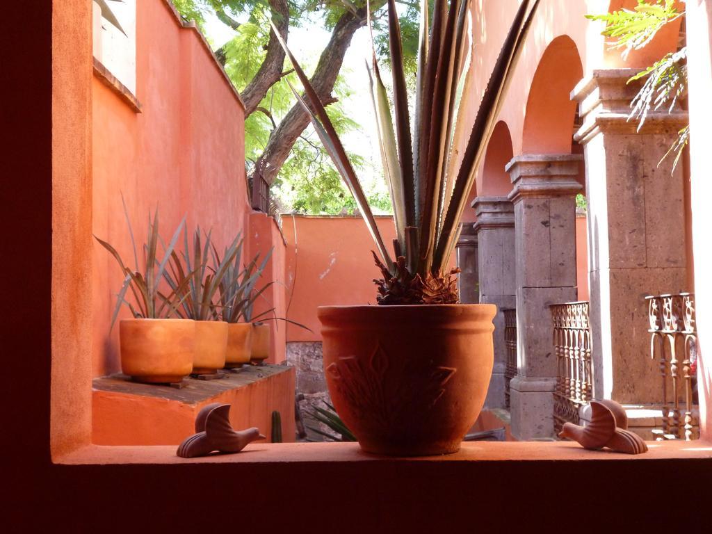 Casa Colibri San Miguel de Allende Exterior photo